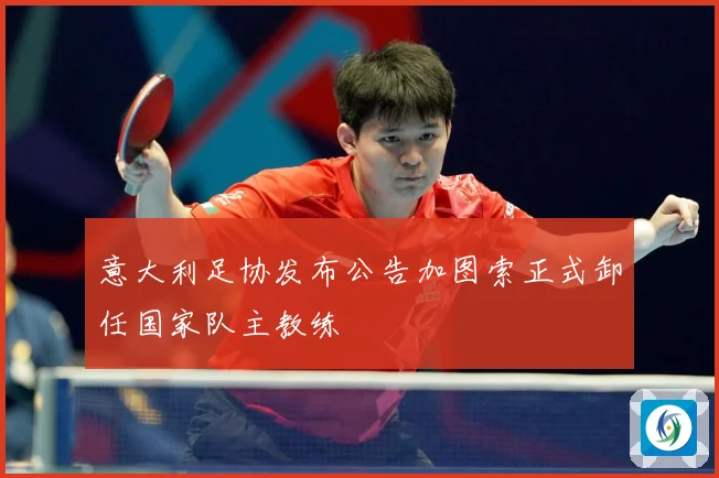 意大利足协发布公告加图索正式卸任国家队主教练