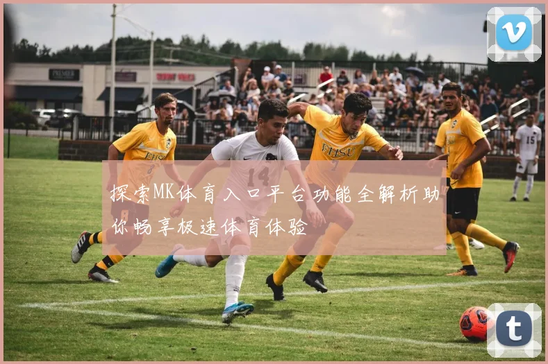 探索MK体育入口平台功能全解析助你畅享极速体育体验