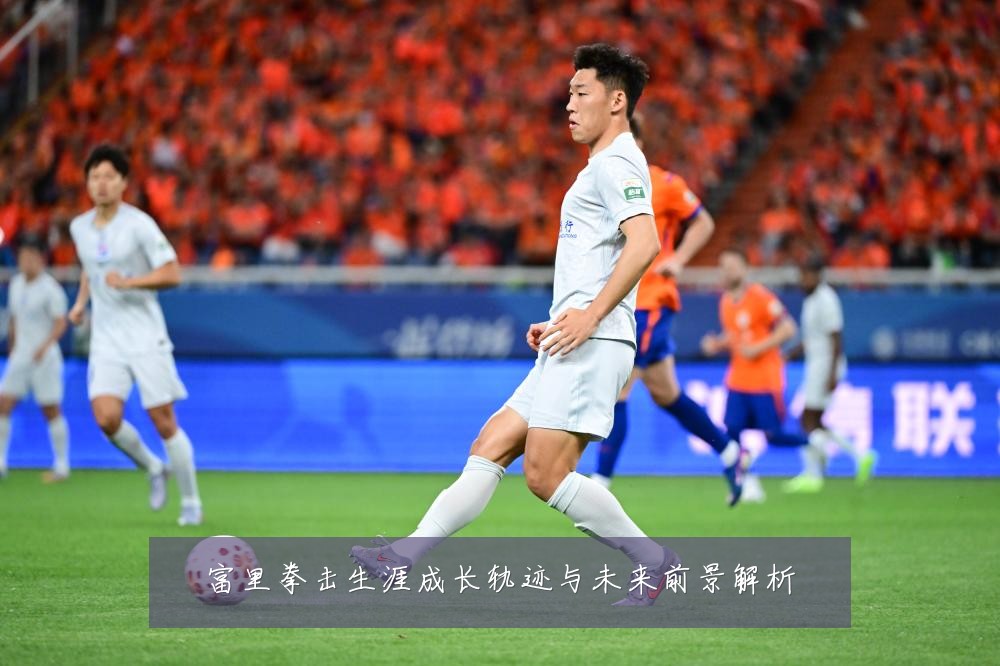 富里拳击生涯成长轨迹与未来前景解析