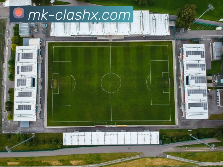 MK体育平台展示图